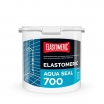   , , ,    ELASTOMERIC AQUA SEAL 700 -     ,    