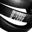   SPB-2950 Lp  -     ,    