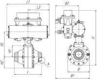     DN50-100 PN 8,0 - 16,0  -     ,    